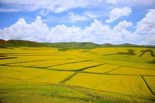 甘南旅游风光