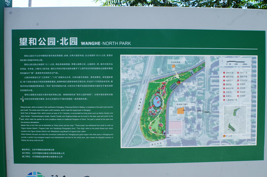 北京望和公园北园荷花