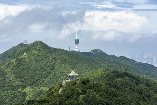 深圳梧桐山