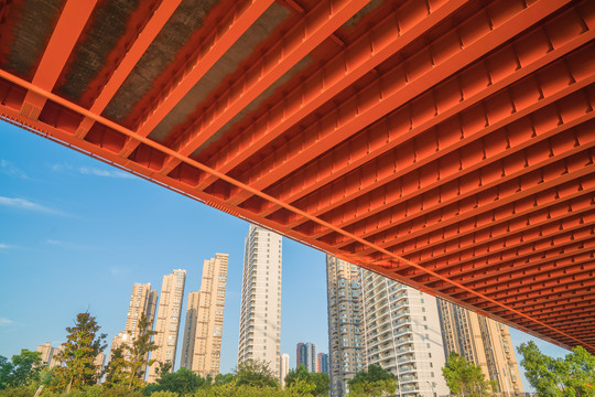 仰拍武汉鹦鹉洲大桥和建筑特写