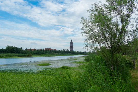 高旻寺风光