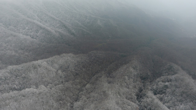 神农架