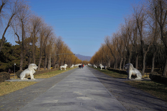 北京十三陵神道