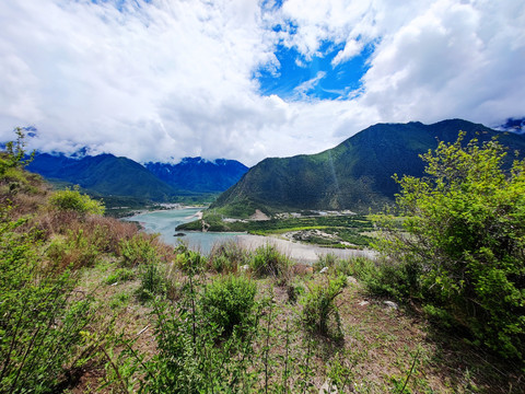 雅尼湿地