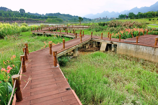 荔波樟江湿地