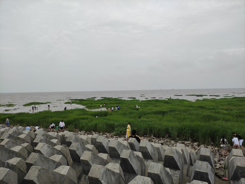 奉贤海滩