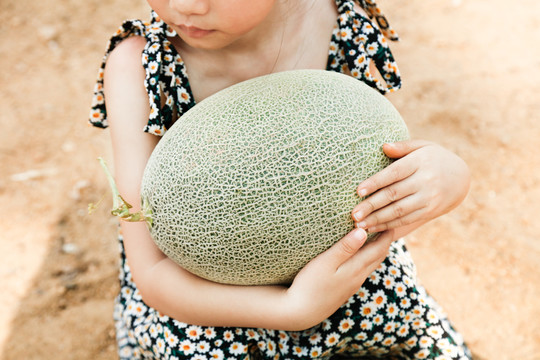 小女孩手里抱着网纹瓜