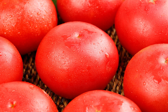 亮底上的新鲜西红柿