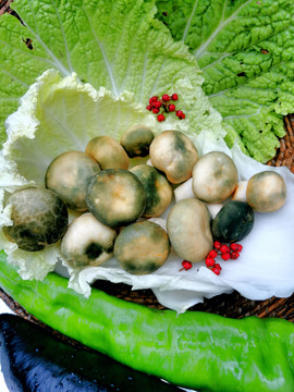 青头菌野生菌乡村美食素材