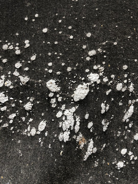 素材底纹