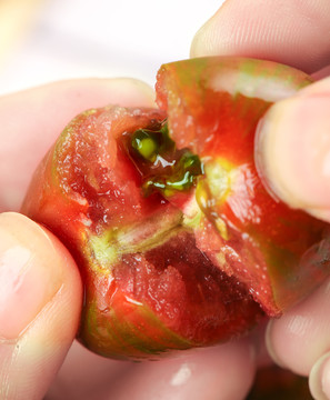 手拿掰开的迷彩小番茄