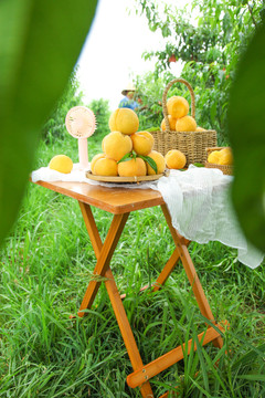 桌子上摆放着一篮刚采摘的新鲜黄桃