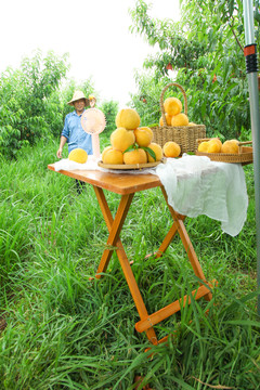 桌子上摆放着一篮刚采摘的新鲜黄桃
