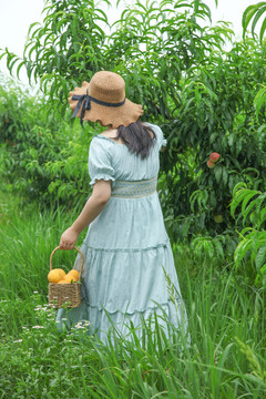 女孩手里提着一篮采摘的黄桃
