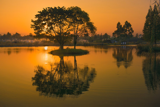 湿地夕阳