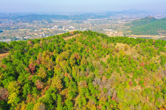 红叶秋景