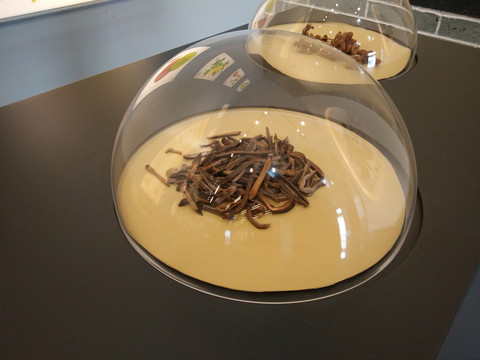 玻璃罩