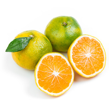 新鲜的青皮蜜橘放在白底上