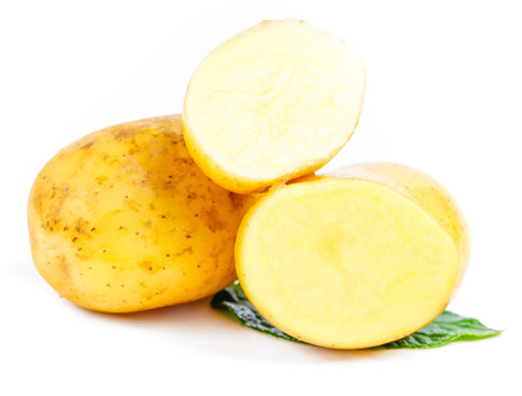 黄心土豆放在白底上