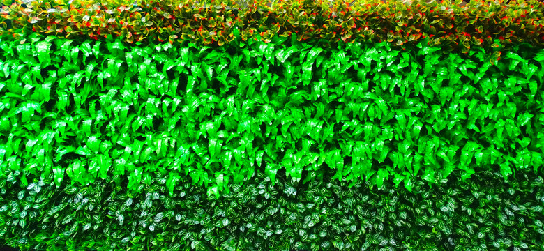 长条绿植围墙