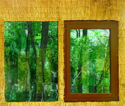 景观窗户树林