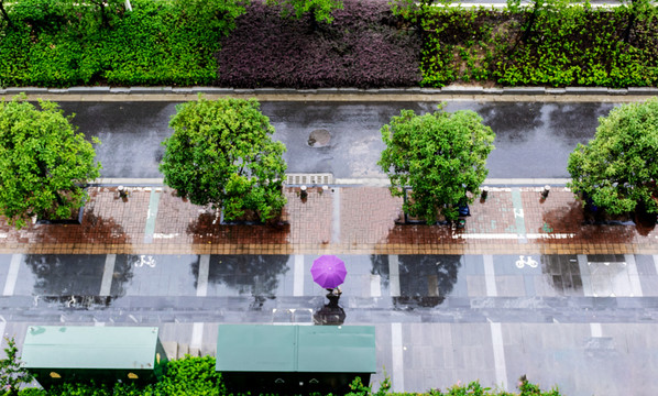 雨天行人