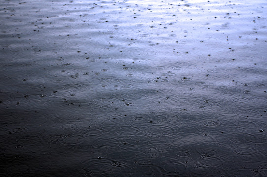 下雨的湖面