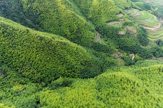 遂昌南尖岩景区