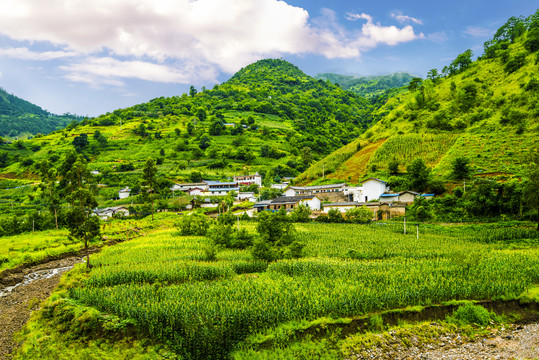 云南山村梯田风景