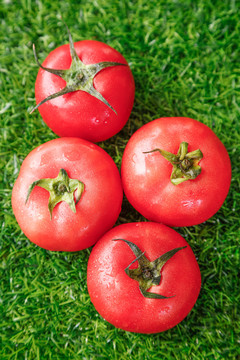 草地上的一堆新鲜西红柿