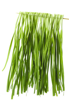 竹签上串着新鲜韭菜