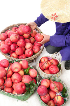 农民手里拿着红富士苹果