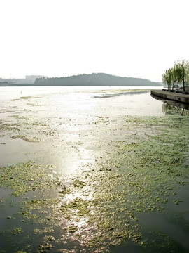 武汉琴台公园