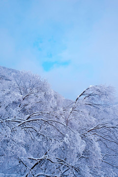 陕西汉中龙头山雪景