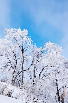 陕西汉中龙头山雪景