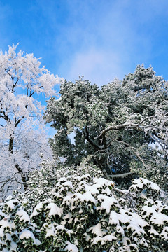 陕西汉中龙头山雪景