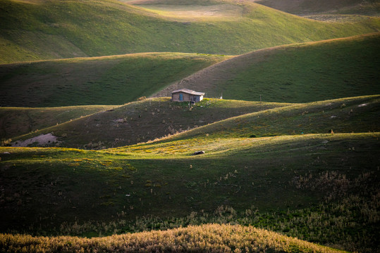 新疆人体草原