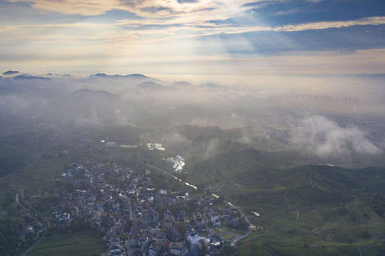 杭州龙坞龙井茶园