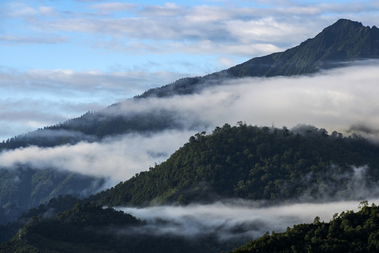 雾景山川