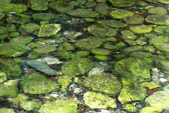 石子流水