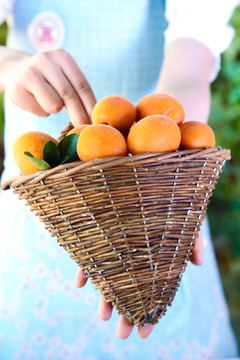手里提着一篮杏子