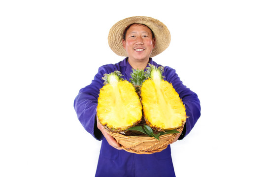 农民手里拿着香水菠萝