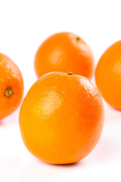 白底上的新鲜橙子