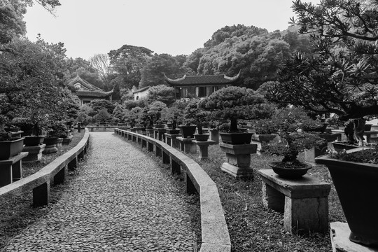虎丘万景山庄