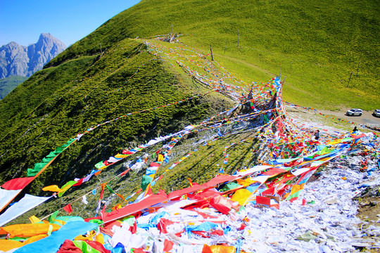 太子山自然美景