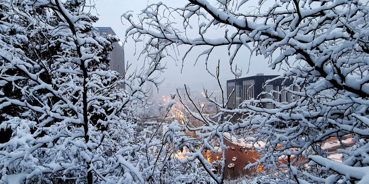 济南城市雪景