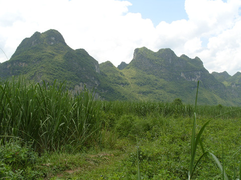 左江两岸青山