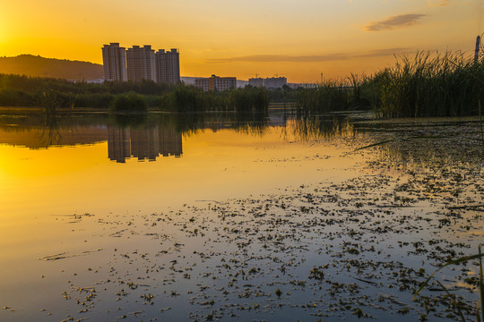 宝鸡渭河湿地公园