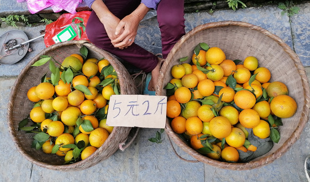 夏橙