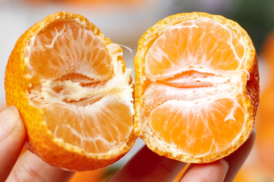 手拿掰开的砂糖橘